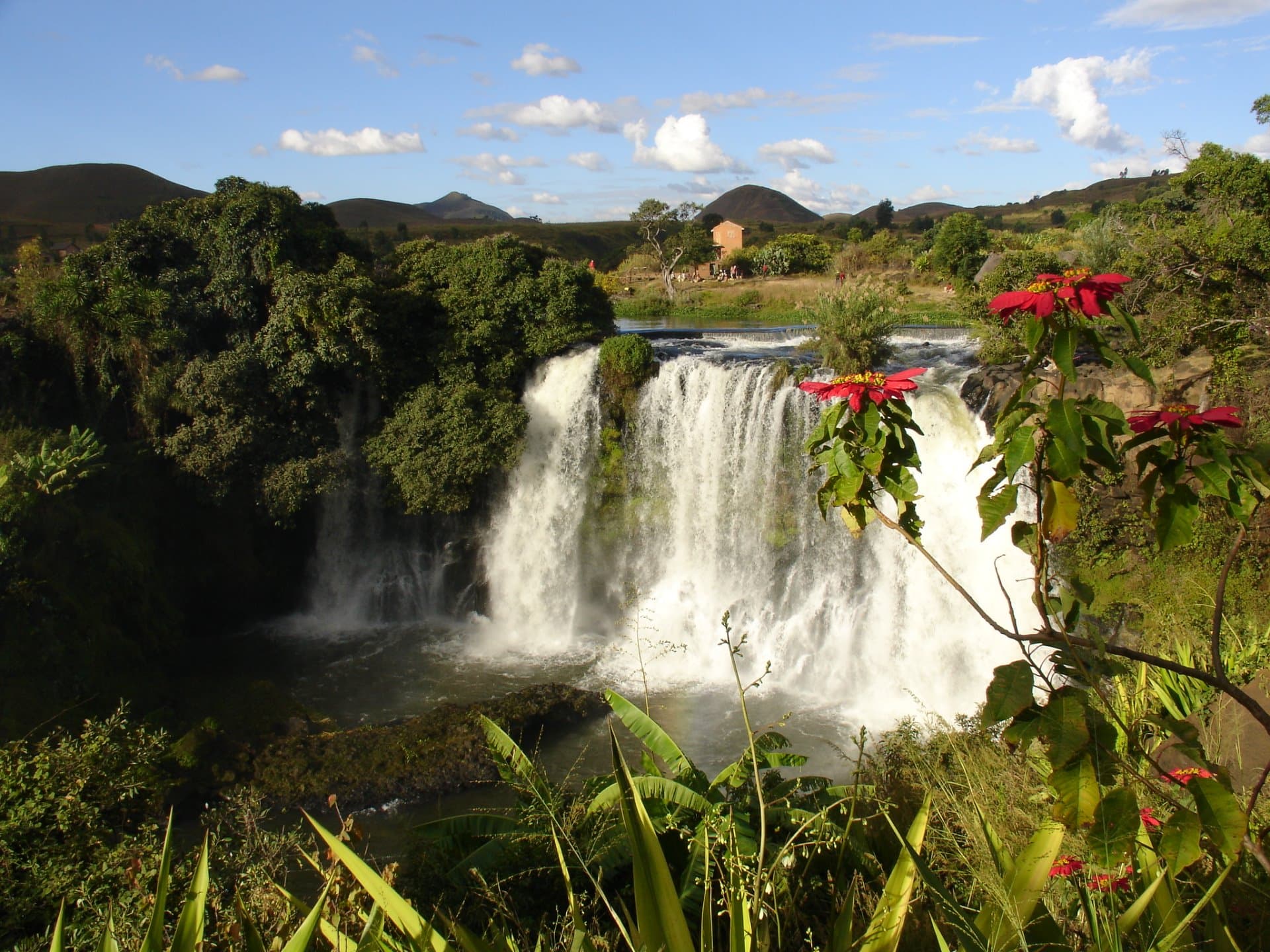 La Cascada de Lily