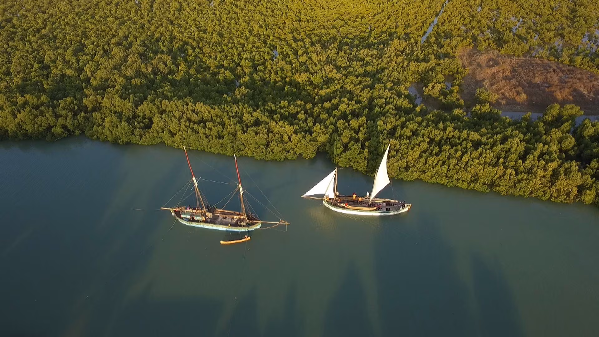 Crucero migratorio de Morondava a Majunga